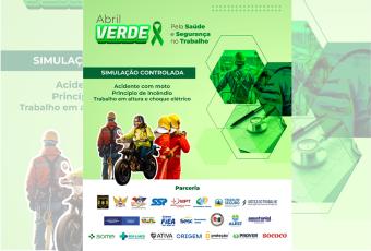 Card compredominancia de cor verde