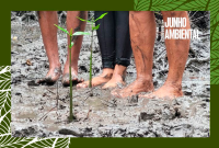 Imagem mostra três pessoas em pé, descalças, com os pés na lama de um manguezal. Entre elas, há pequenas mudas de plantas sendo cultivadas. A cena sugere ação de plantio ambiental. No canto, aparece o texto “Junho Ambiental”.