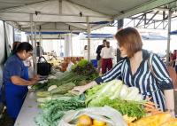Há duas mulheres numa barraca de feira com vários legumes e verduras. Uma delas é a feirante e a outra é uma cliente. Há duas pessoas conversando ao fundo.