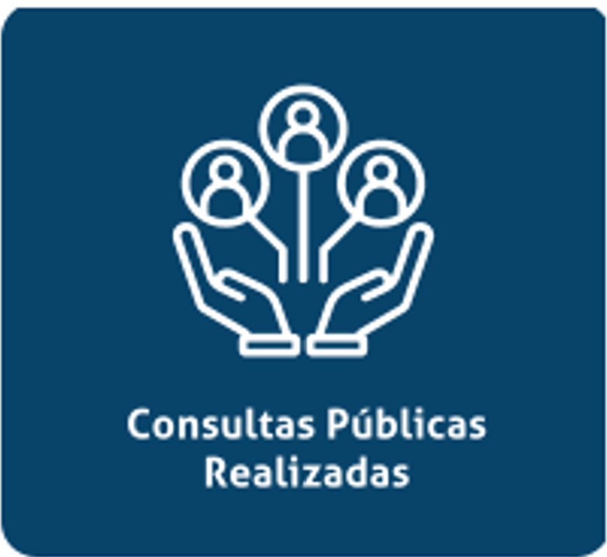 Consultas Públicas Realizadas