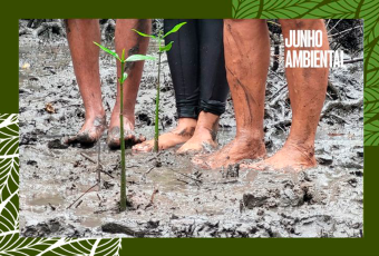 Imagem mostra três pessoas em pé, descalças, com os pés na lama de um manguezal. Entre elas, há pequenas mudas de plantas sendo cultivadas. A cena sugere ação de plantio ambiental. No canto, aparece o texto “Junho Ambiental”.