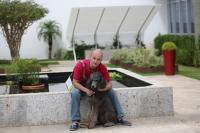 TRT/AL regulamenta acesso de pessoa com deficiência visual e cão-guia às suas dependências