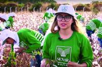 Documentário fala sobre papel da aprendizagem na vida de estudantes brasileiros
