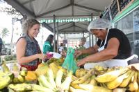 Feira ecológica no TRT/AL: diversidade de produtos atrai consumidores