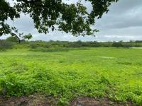 Fazenda de 780 tarefas será leiloada pela VT de Santana do Ipanema no dia 10/6