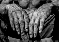 Mãos maltratadas de homem trabalhador 