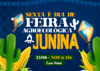 Poster na cor azul escuro com letras nas cores ouro e branca. Nos cantos, cactos e espigas de milhos. Balões coloridos acima.