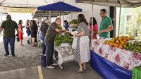 Várias pessoas em uma feira agroecológica. Elas estão escolhendo os produtos.