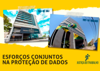 Fotos das fachadas dos prédios dos dois tribunais, são prédios cinzas com bandeiras do Brasil e dos Estados na frente