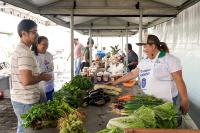 Um homem de óculo e camisa listrada ao lado de uma mulher morena de camisa branca em frente a uma banca de verduras com uma mulher branca atrás da banca vendendo as verduras