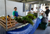 A imagem mostra uma feira de alimentos realizada em área coberta. Três feirantes estão atrás de uma bancada com diversos produtos naturais, como folhas verdes, beterrabas, ovos, frutas e garrafas com líquidos . Uma mulher, vestida com roupas sociais, está em frente à banca, segurando sacolas e usando o celular. À esquerda da imagem, há uma caixa de madeira com frutas. Ao fundo, uma parede branca com revestimento de azulejos pequenos.