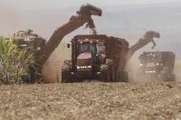 A imagem mostra a colheita mecanizada de cana-de-açúcar em uma ampla área agrícola. Três máquinas trabalham simultaneamente no campo, enquanto uma delas descarrega a cana cortada em um veículo de transporte. A movimentação dos equipamentos levanta poeira e resíduos vegetais, evidenciando a intensidade da operação. Ao fundo, observa-se a extensão da plantação sob um céu claro. A cena retrata a modernização e a escala industrial da produção sucroenergética.